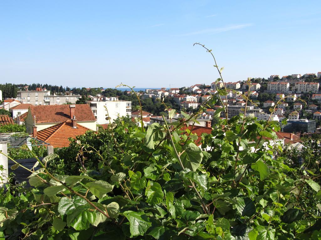 Apartments Gera Dubrovnik Eksteriør billede